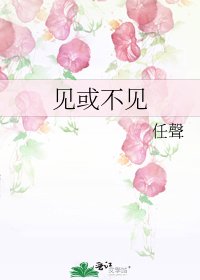 见或不见